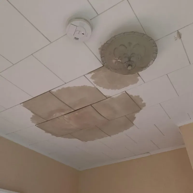 Ceiling Water Damage Repair in South Weber, UT