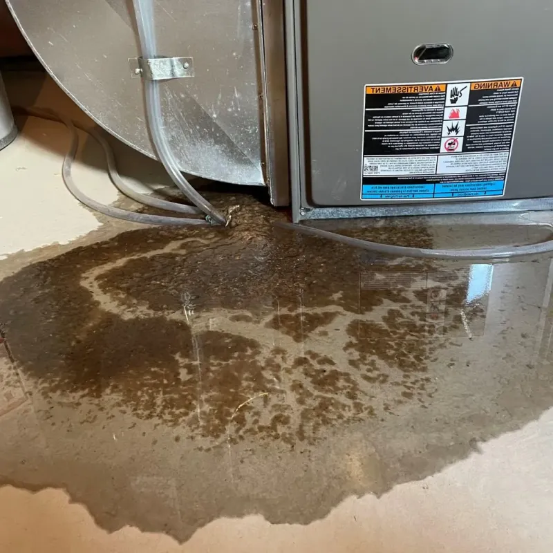 Pipe Burst and Leak Restoration in South Weber, UT